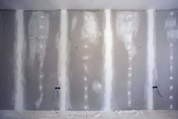 Best Wallpaper Removal and Painting  in Shafer, MN